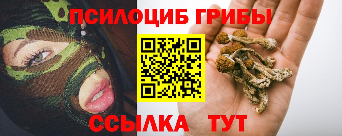 Галлюциногенные грибы Magic Shrooms Губаха