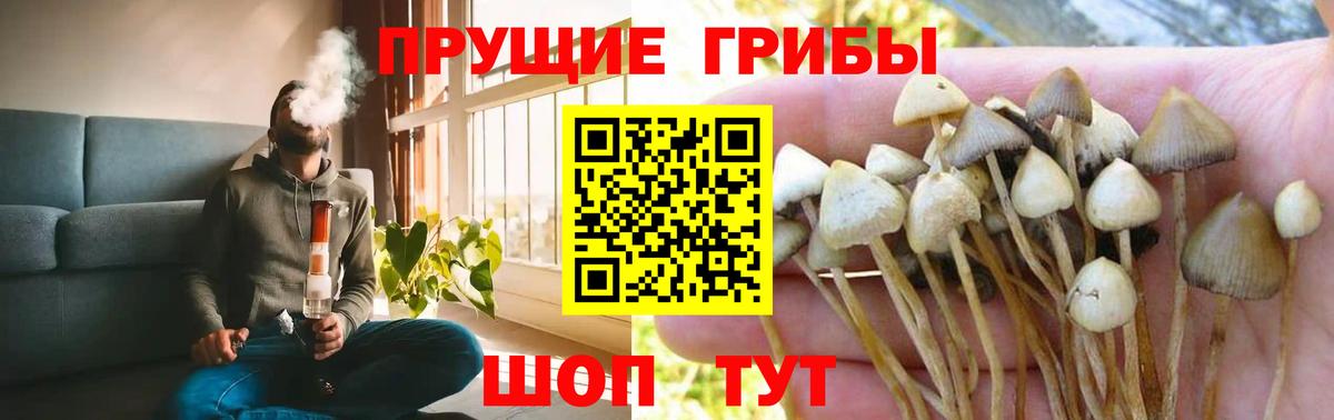 Губаха  Галлюциногенные грибы мухоморы  Вход с VPN  Псилоцибиновые грибы прущие грибы 